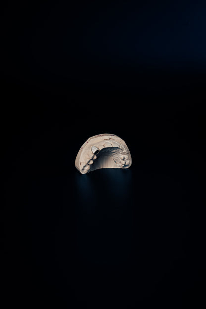 Full-ice grillz