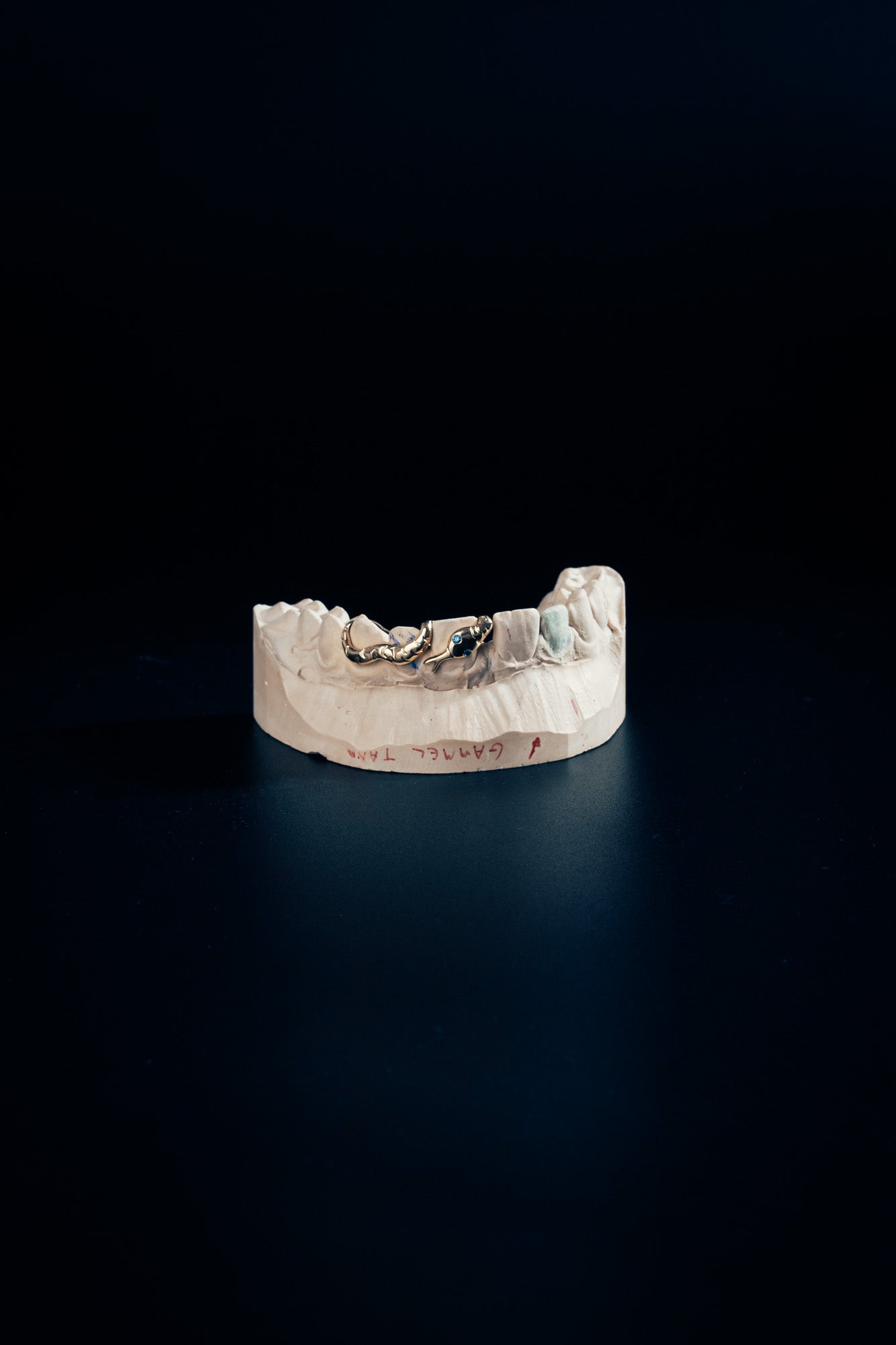 Snake Grillz